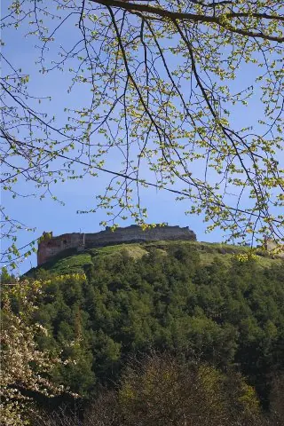 Гора Бона з руїнами замку Гора Бона з руїнами замку — Кременець