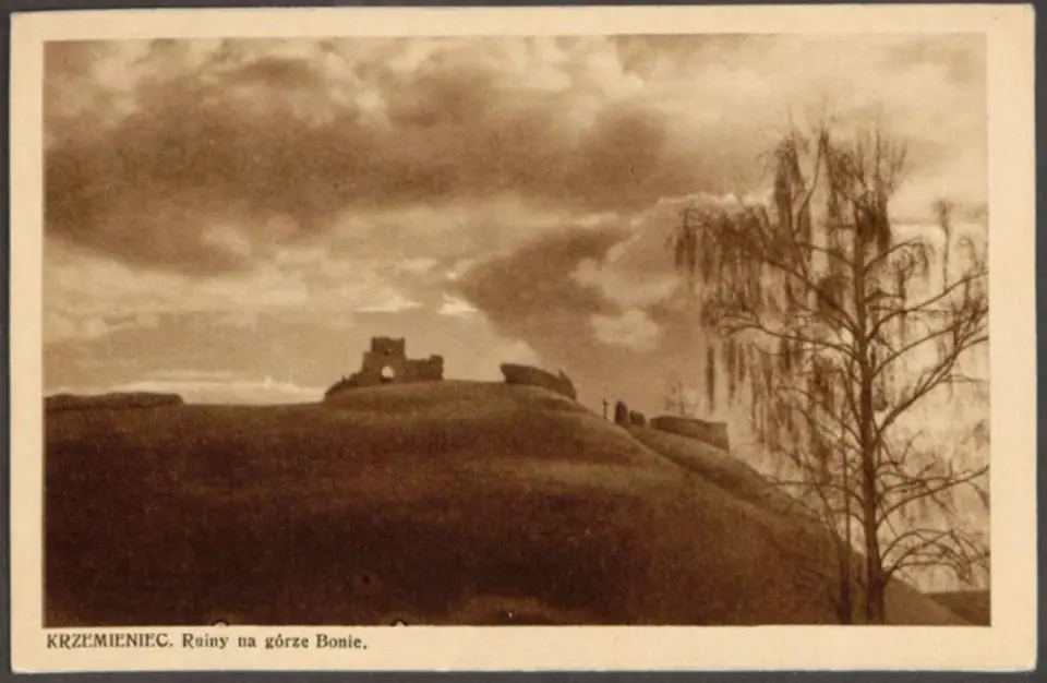 Кременець на листівках початку ХХ століття — Кременець, фото 152 з 222