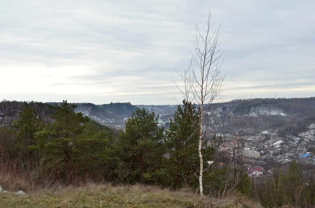 Кременець та околиці: краєвиди й пам'ятки — Кременець, фото 31 з 47