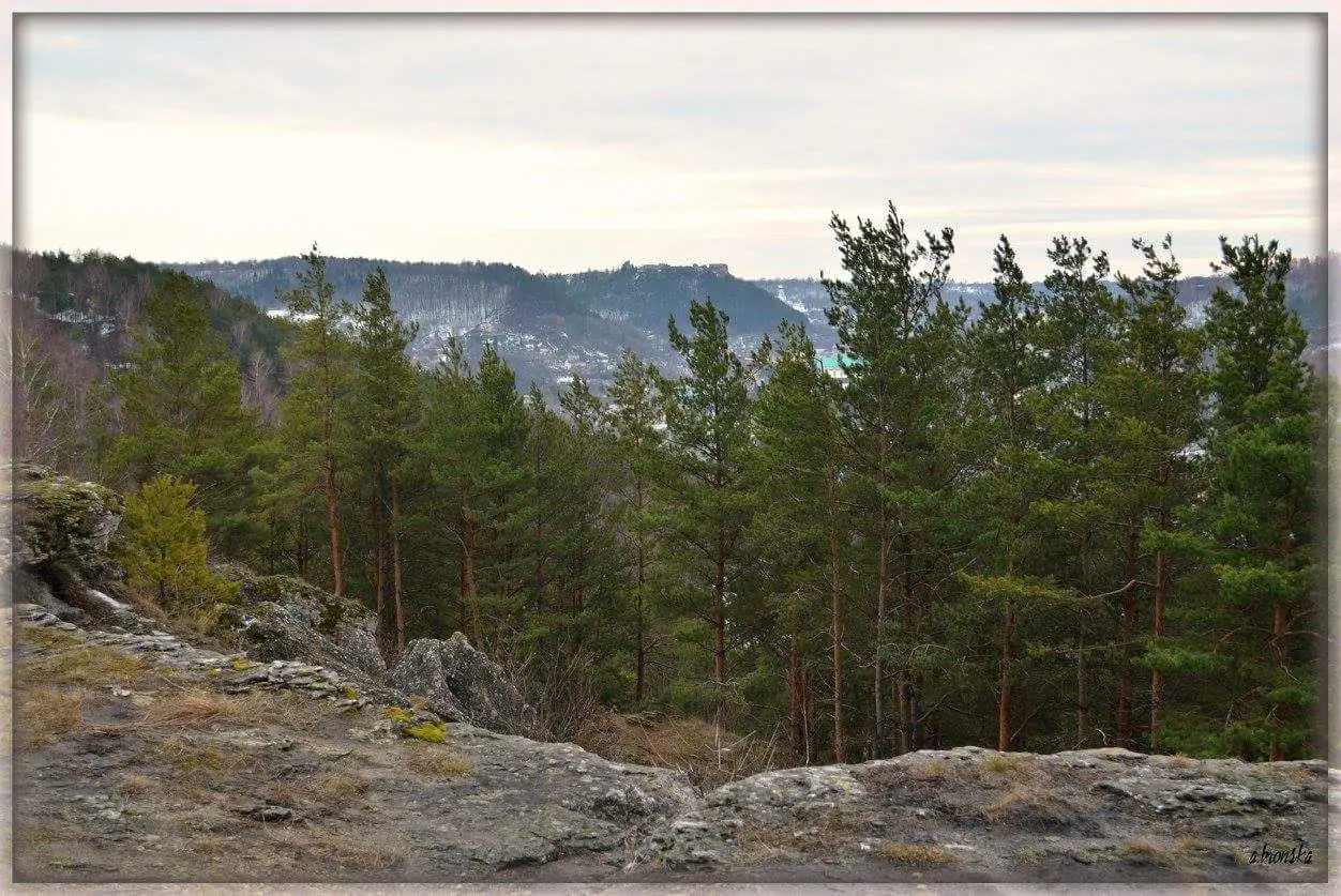 Кременець та околиці: краєвиди й пам'ятки — Кременець, фото 34 з 47