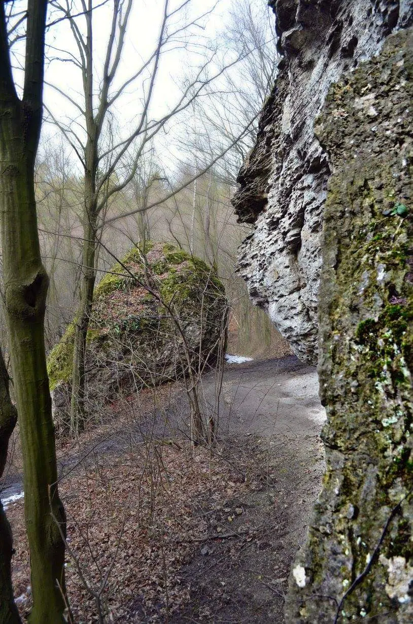 Кременець та околиці: краєвиди й пам'ятки — Кременець, фото 35 з 47