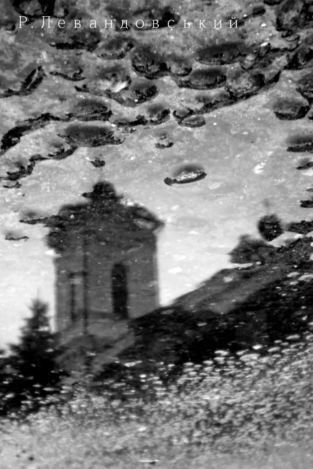 Кременець у дзеркалі: фотосерія Р. Левандовського — Кременець, фото 22 з 64