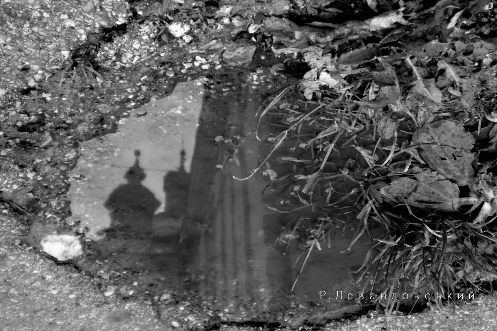 Кременець у дзеркалі: фотосерія Р. Левандовського — Кременець, фото 49 з 64