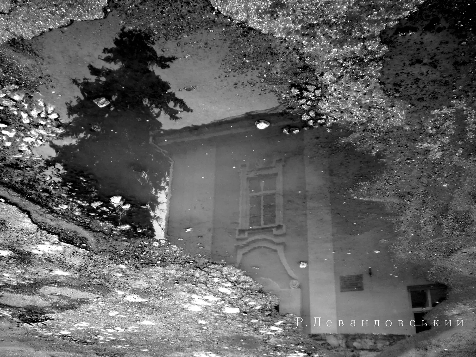 Кременець у дзеркалі: фотосерія Р. Левандовського — Кременець, фото 50 з 64