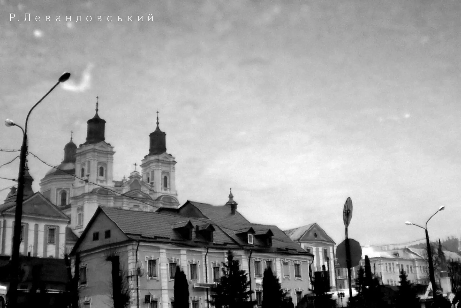 Собор і будинки, чорно-біле відображення — Кременець