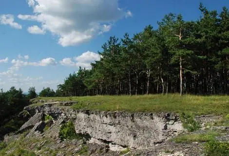 Вапнякова скеля і сосновий ліс Вапнякова скеля і сосновий ліс — Кременець
