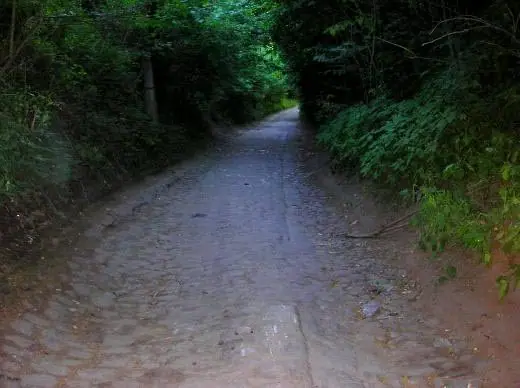 Лісова дорога Лісова дорога — Кременець