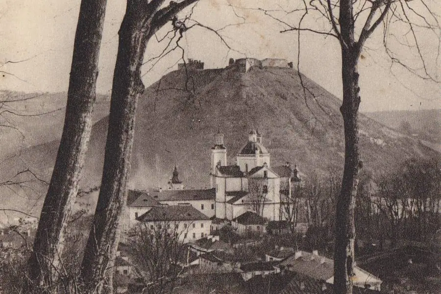 Колегіум і Бона крізь дерева — Кременець
