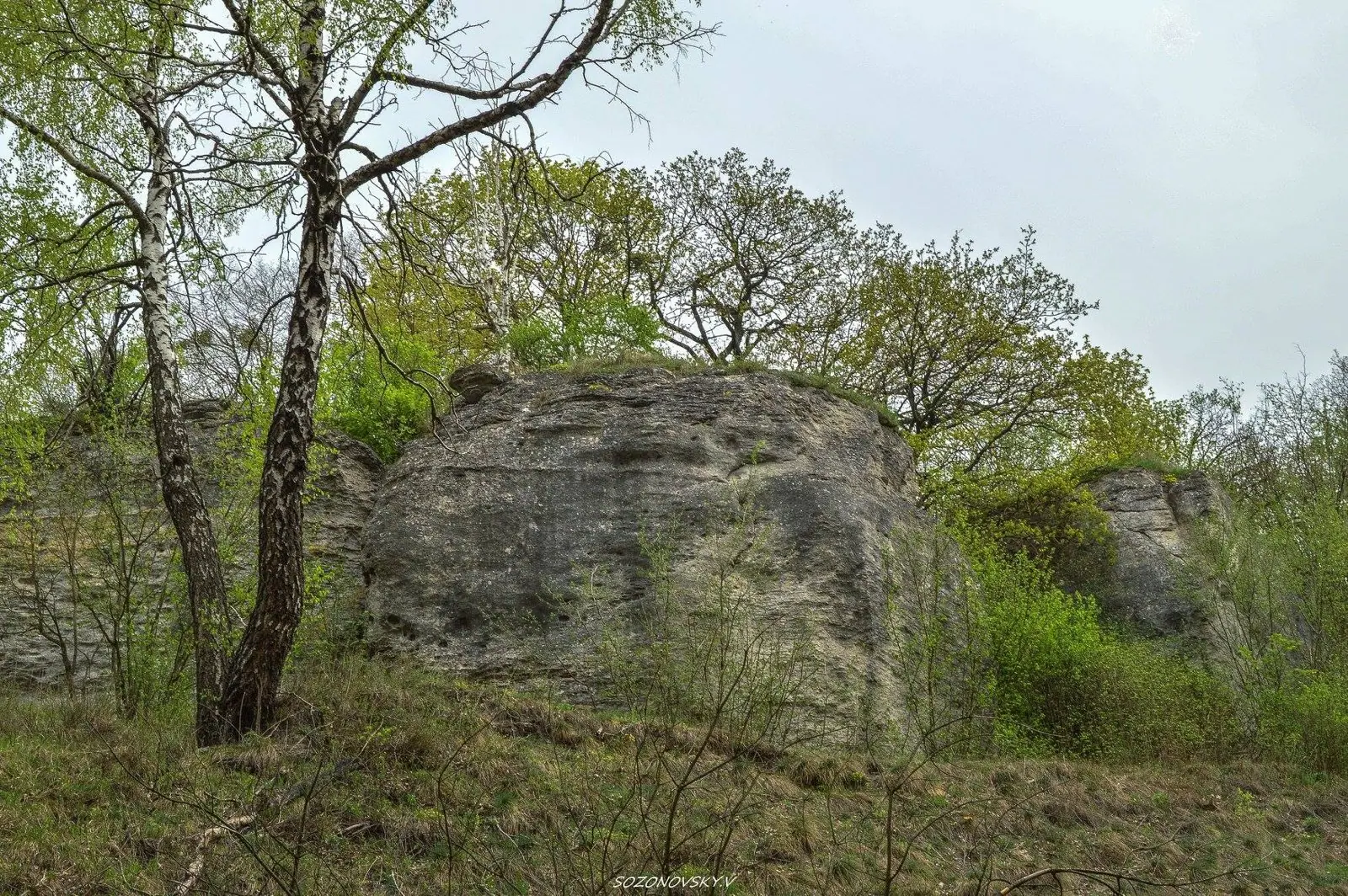 Валун у лісі — Кременець