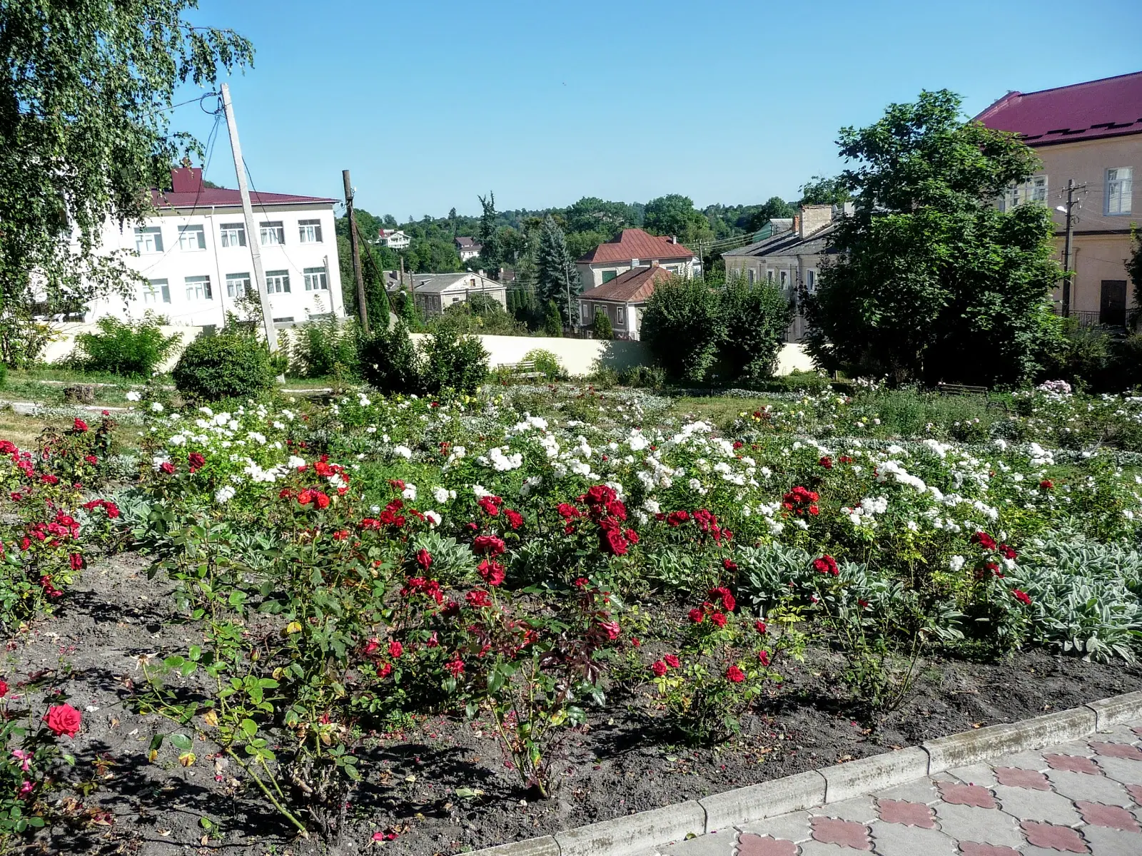 Квітник у центрі міста — Кременець