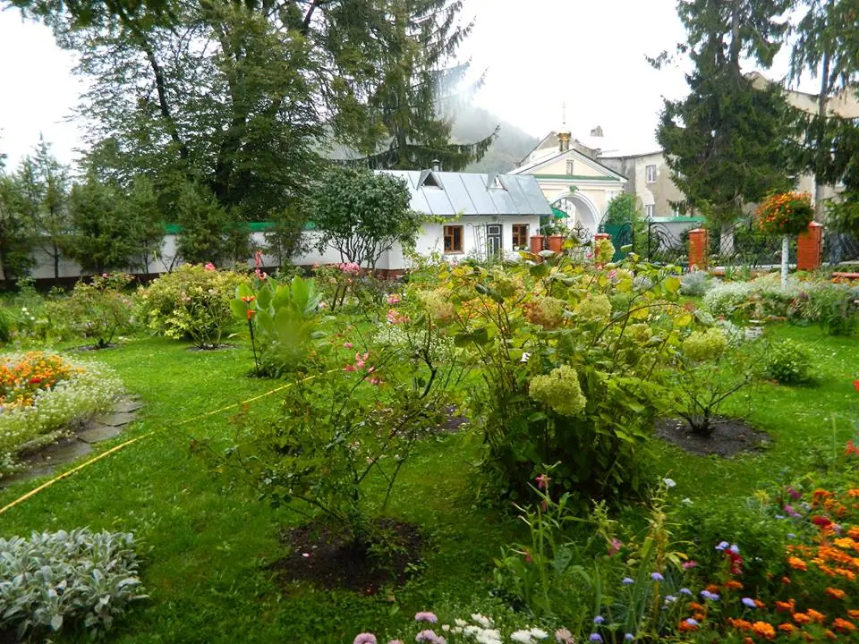 Кременець: краєвиди та пам'ятки — Кременець, фото 26 з 217