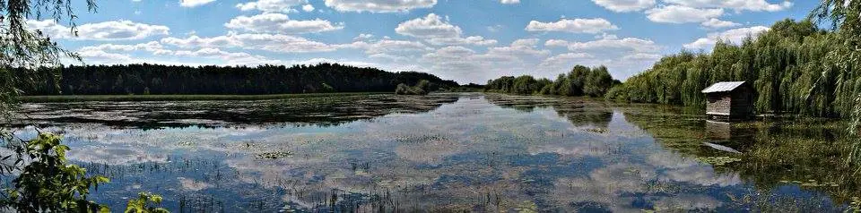 Кременець: краєвиди та пам'ятки — Кременець, фото 47 з 217