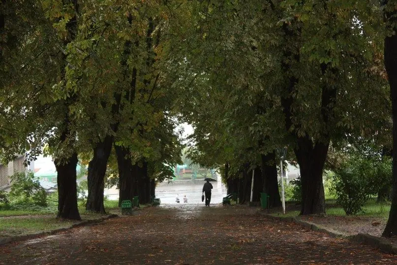 Кременець: краєвиди та пам'ятки — Кременець, фото 62 з 217
