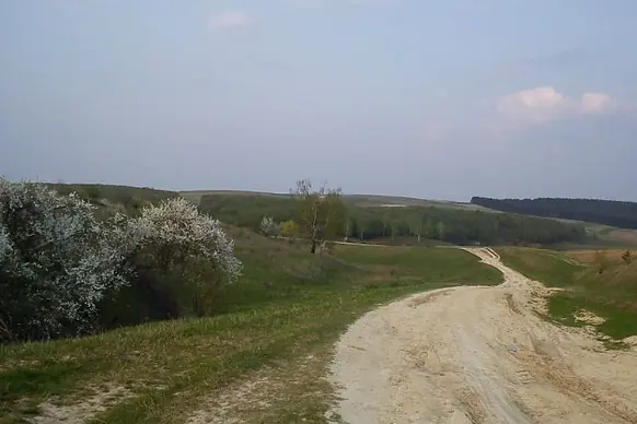 Лідихівський пейзаж — Лідихів