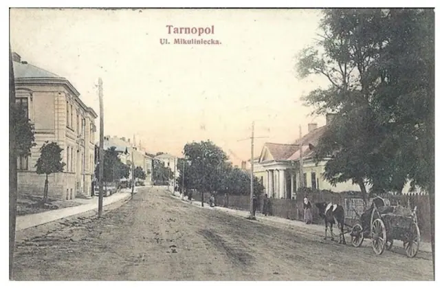 Тернопіль. Вулиця Міцкевича — Тернопіль