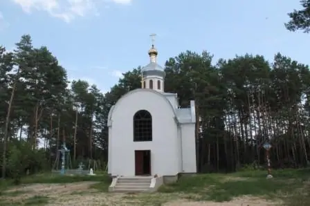 Каплиця серед соснового лісу — Вірля
