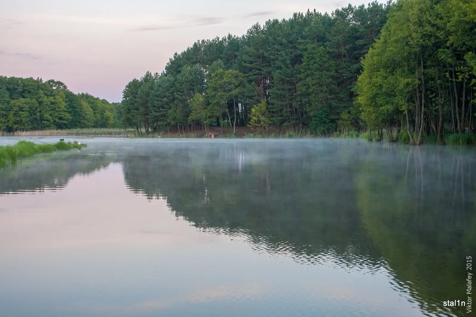 Ставок у Вірлі з туманом над водою — Вірля