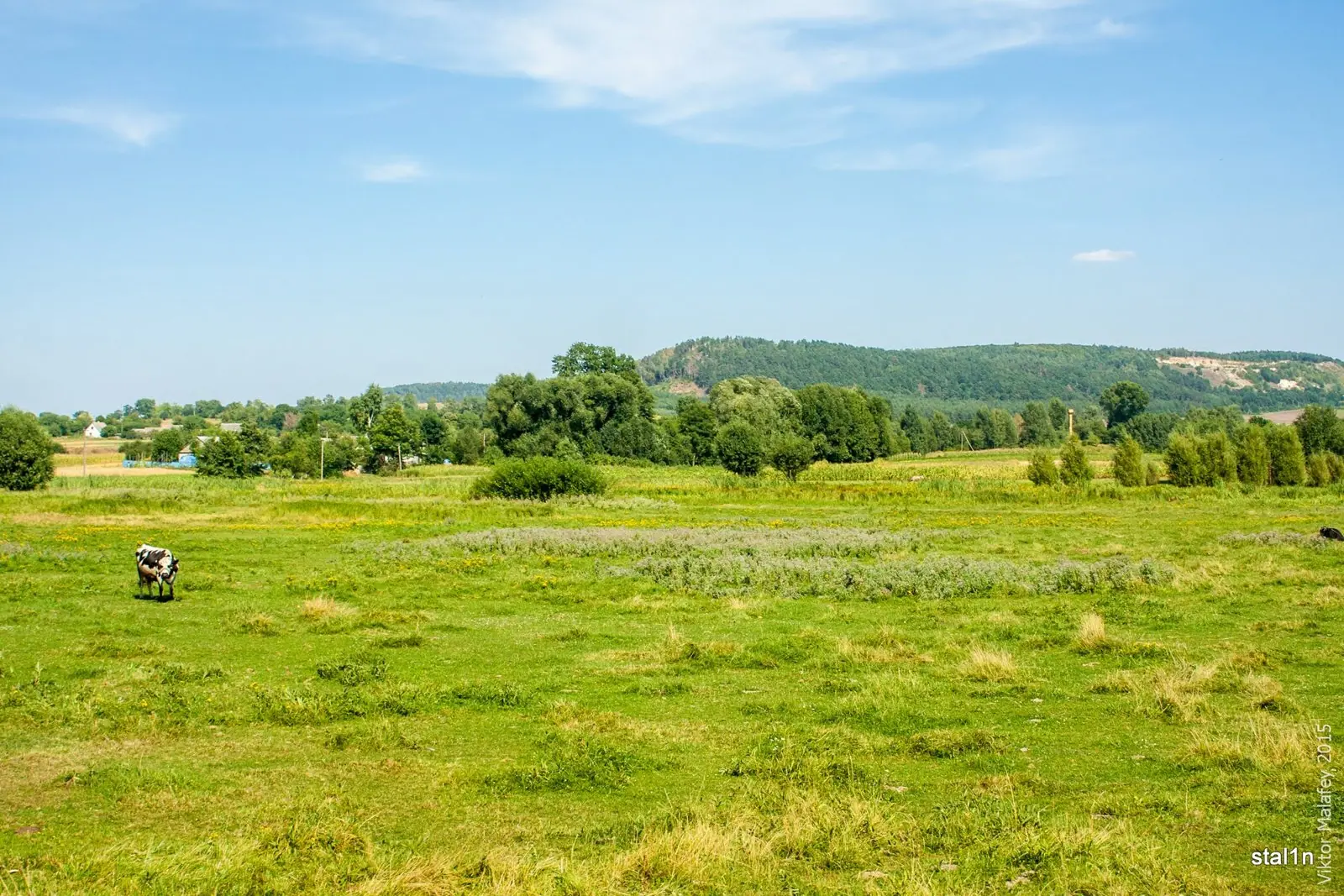 Луки й пагорби біля Вірлі — Вірля