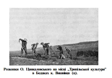 Розкопки О. Цинкаловського на місці трипільської культури в Бодаках біля Вишнівця — Кременець