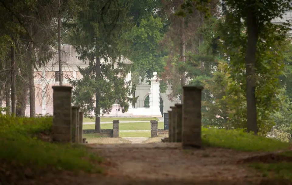 Вишнівецький палац: фасади, парк і територія — Вишнівець, фото 13 з 45